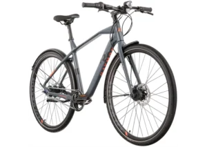 Rower miejski RAYMON UrbanRay 2.0 Gent